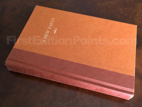 Picture of the first edition Dutton boards for A New Earth. 