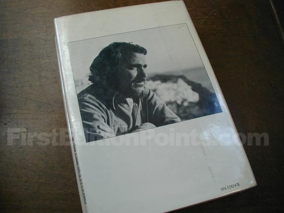 Picture of the back dust jacket for the first edition of The Names. 